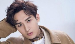 成毅娱乐消息爆料视频是真的吗,成毅娱乐爆料视频真实性揭秘