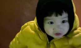 崽崽吃瓜视频在线播放免费,免费在线观看，揭秘娱乐圈幕后故事