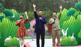 兄弟大院爆料视频大全最新,揭秘娱乐圈幕后真相